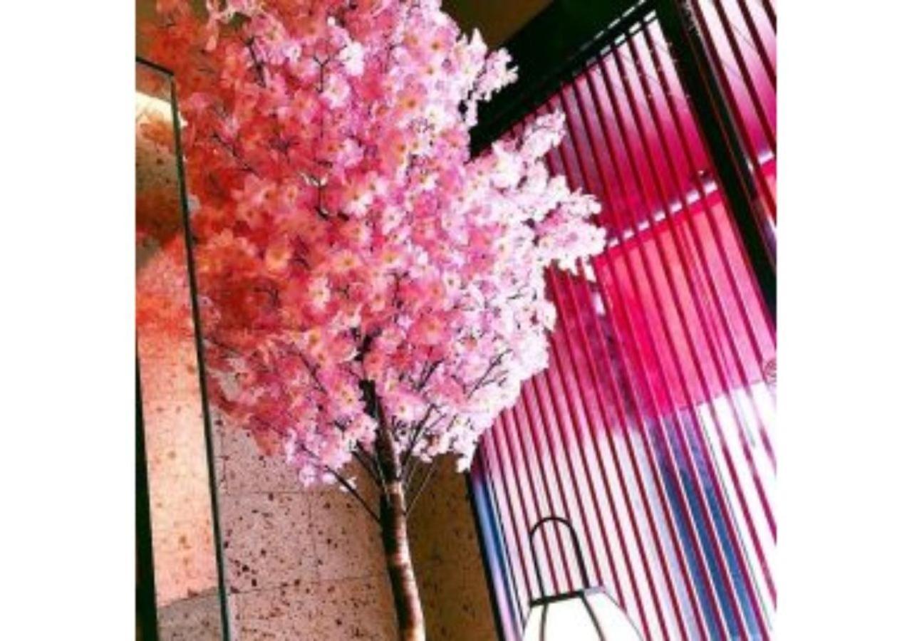 Sakura Sky Hotel - Vacation Stay 18444V 東京都 エクステリア 写真
